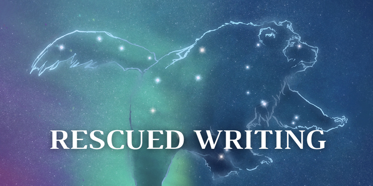 Rescued Draft: Community and Derived Houses in Astrology