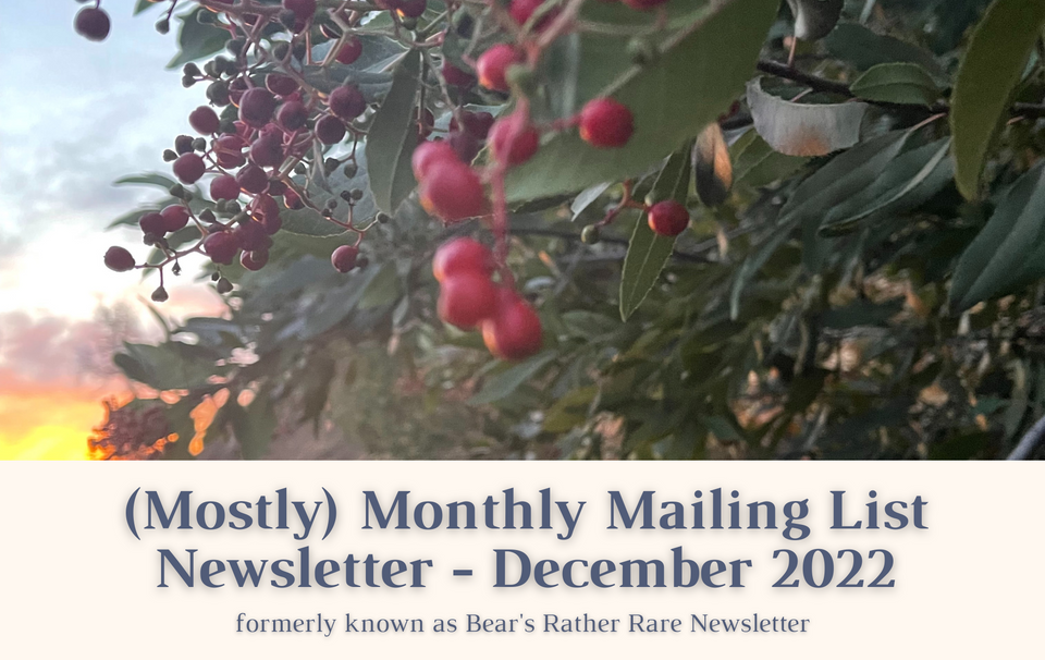 December 2022 Newsletter